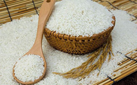 Giá lúa gạo hôm nay ngày 20/11: Giá lúa gạo chững, giao dịch trầm lắng